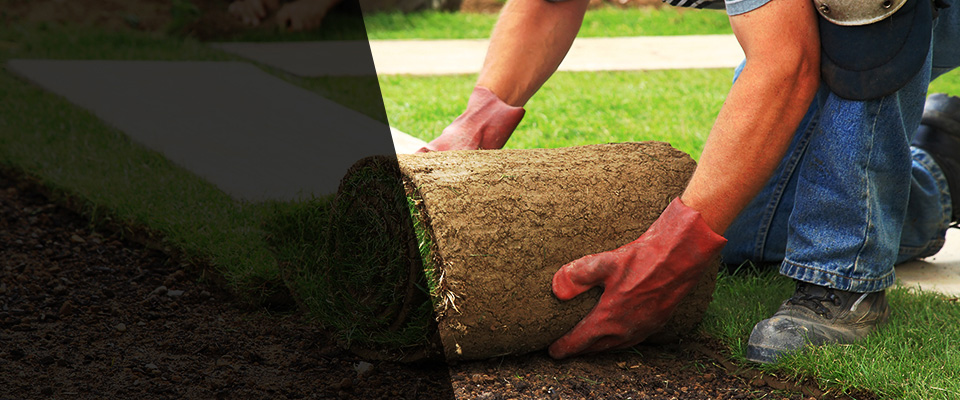 Stamping Ground Landscapers